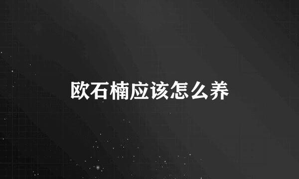 欧石楠应该怎么养