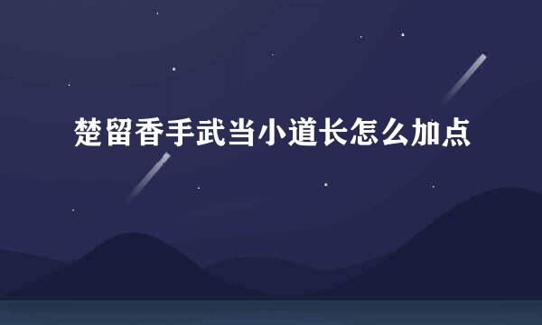 楚留香手武当小道长怎么加点