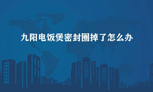九阳电饭煲密封圈掉了怎么办
