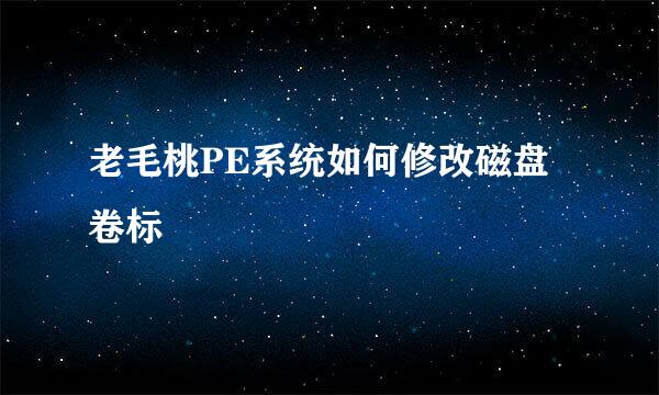 老毛桃PE系统如何修改磁盘卷标
