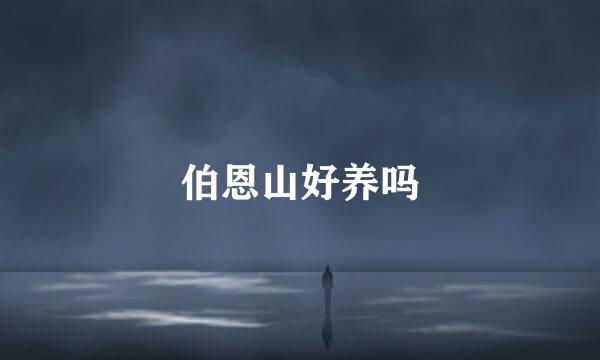 伯恩山好养吗