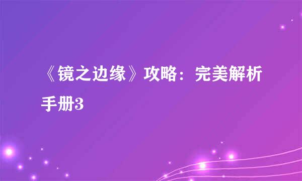 《镜之边缘》攻略：完美解析手册3