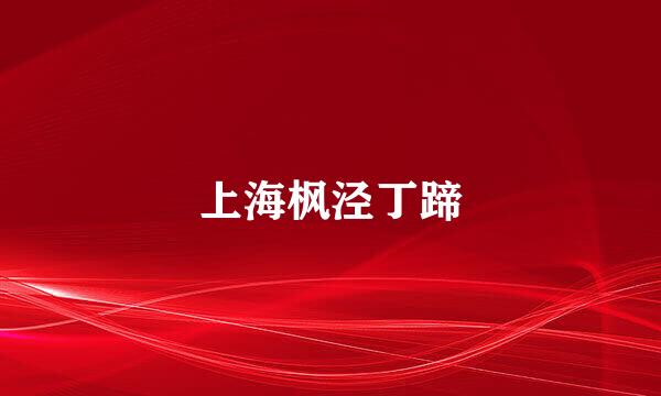 上海枫泾丁蹄