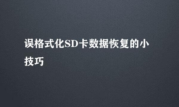 误格式化SD卡数据恢复的小技巧