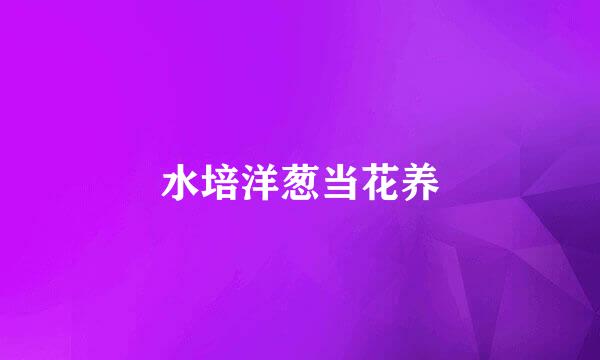 水培洋葱当花养