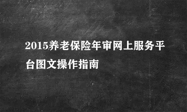 2015养老保险年审网上服务平台图文操作指南