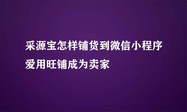 采源宝怎样铺货到微信小程序爱用旺铺成为卖家