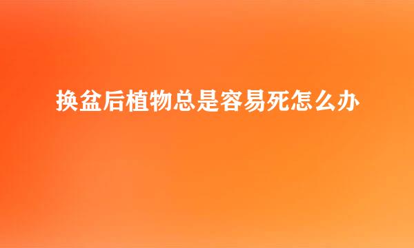 换盆后植物总是容易死怎么办