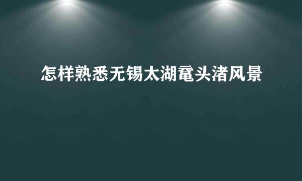 怎样熟悉无锡太湖鼋头渚风景