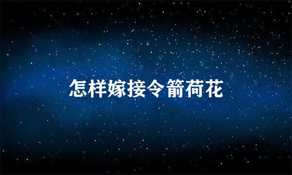 怎样嫁接令箭荷花