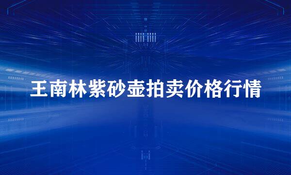 王南林紫砂壶拍卖价格行情