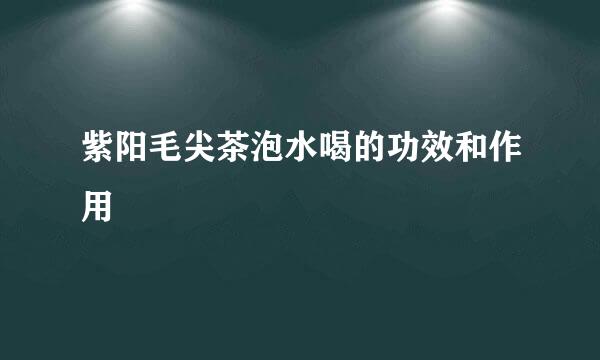 紫阳毛尖茶泡水喝的功效和作用