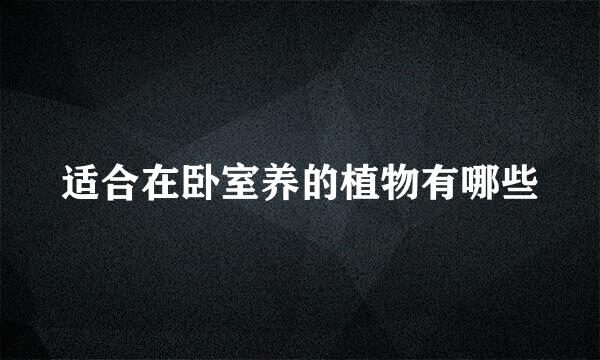 适合在卧室养的植物有哪些