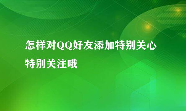 怎样对QQ好友添加特别关心 特别关注哦