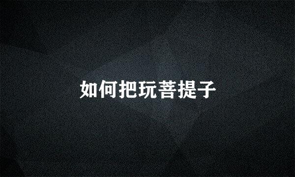 如何把玩菩提子