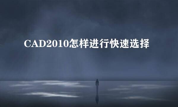 CAD2010怎样进行快速选择