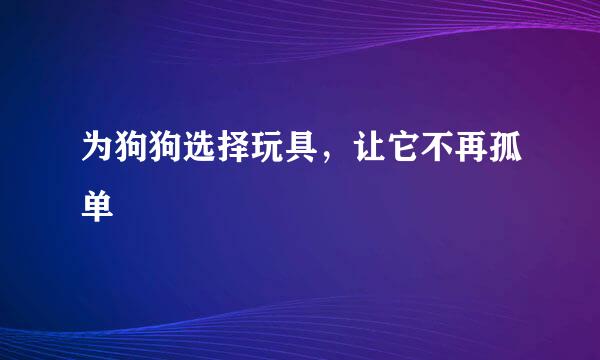 为狗狗选择玩具，让它不再孤单