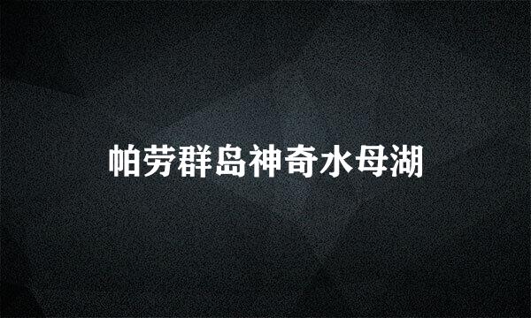 帕劳群岛神奇水母湖