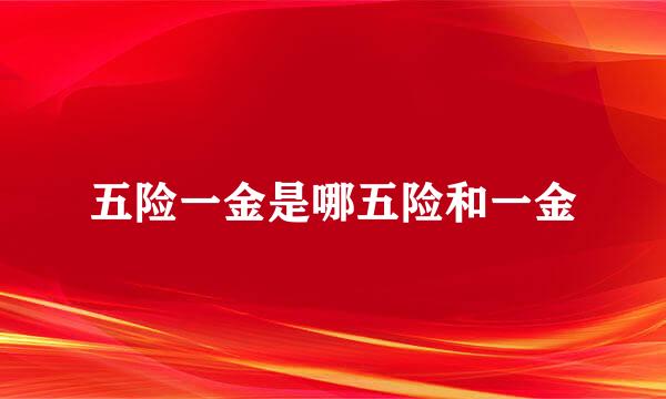 五险一金是哪五险和一金