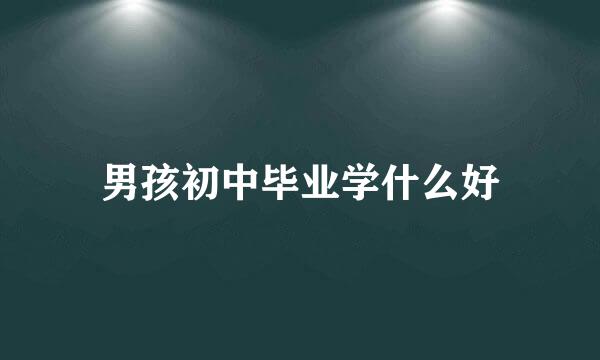 男孩初中毕业学什么好