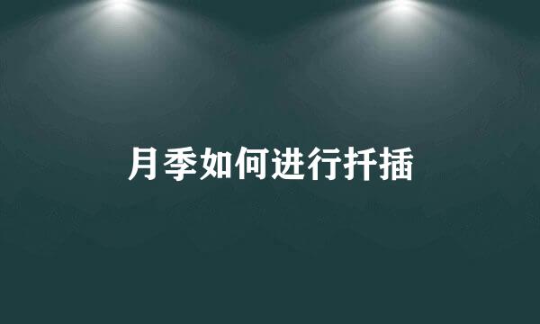 月季如何进行扦插