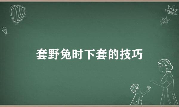 套野兔时下套的技巧