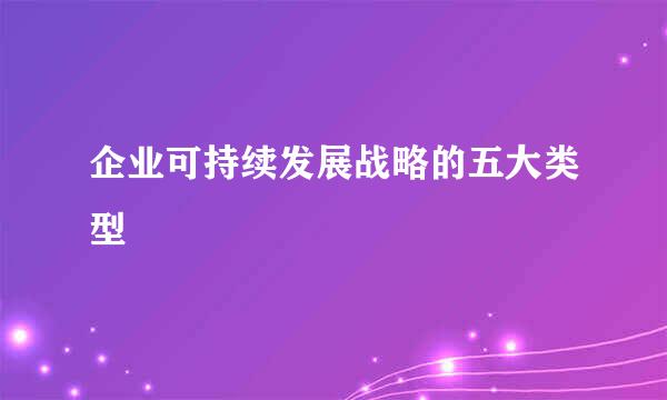 企业可持续发展战略的五大类型