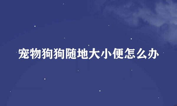 宠物狗狗随地大小便怎么办