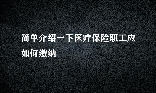 简单介绍一下医疗保险职工应如何缴纳