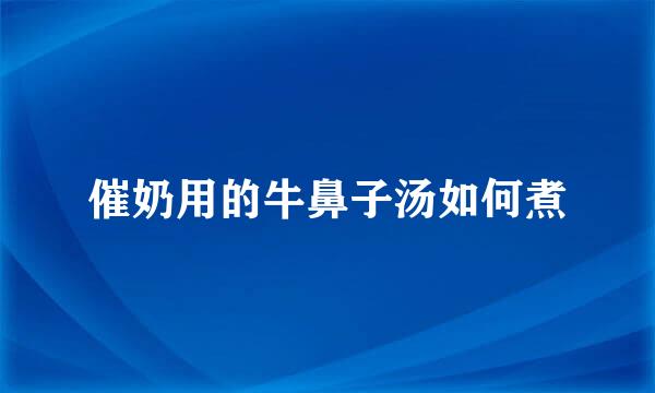 催奶用的牛鼻子汤如何煮
