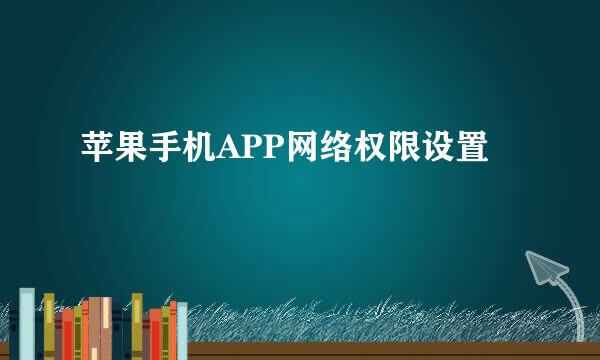苹果手机APP网络权限设置