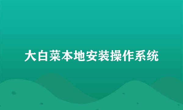 大白菜本地安装操作系统