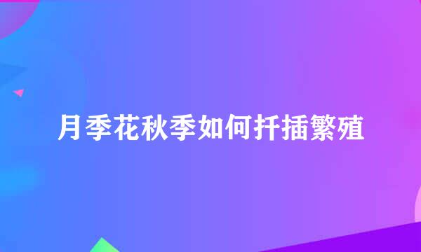 月季花秋季如何扦插繁殖