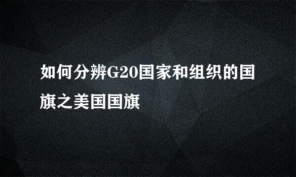 如何分辨G20国家和组织的国旗之美国国旗