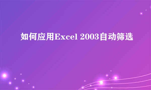 如何应用Excel 2003自动筛选