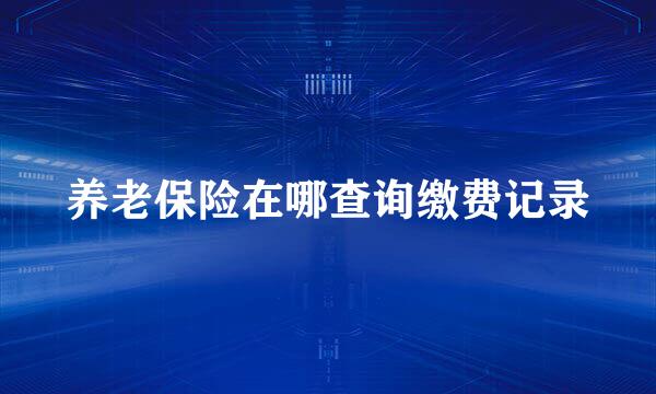 养老保险在哪查询缴费记录