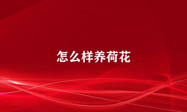 怎么样养荷花
