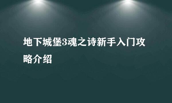 地下城堡3魂之诗新手入门攻略介绍