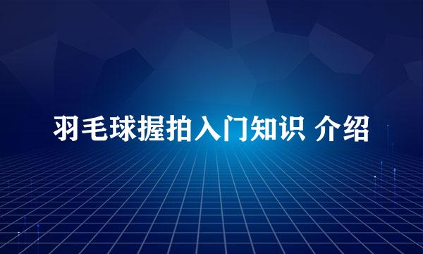 羽毛球握拍入门知识 介绍