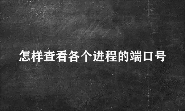 怎样查看各个进程的端口号