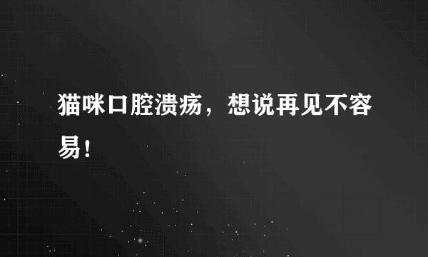 猫咪口腔溃疡，想说再见不容易！