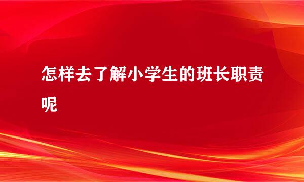 怎样去了解小学生的班长职责呢