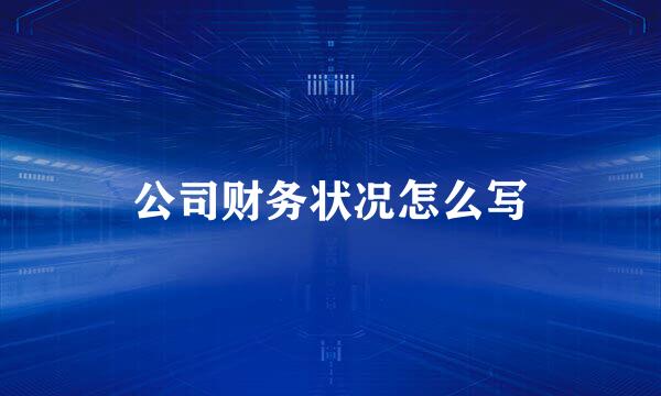 公司财务状况怎么写