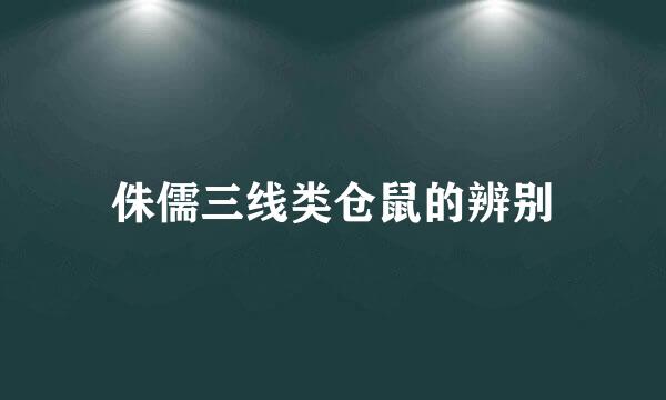 侏儒三线类仓鼠的辨别
