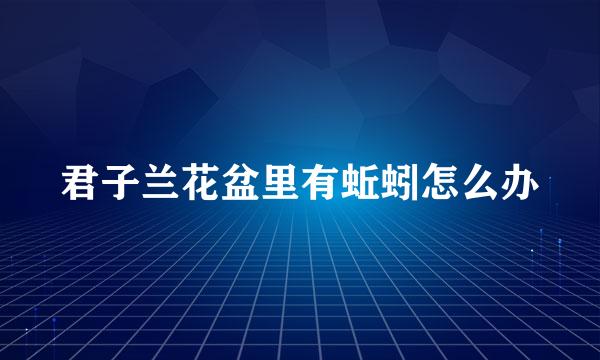 君子兰花盆里有蚯蚓怎么办