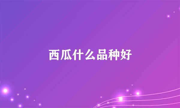 西瓜什么品种好