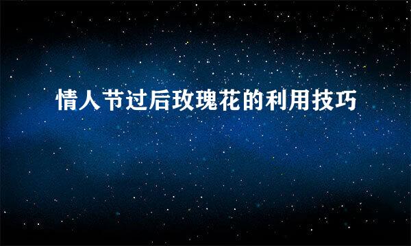 情人节过后玫瑰花的利用技巧
