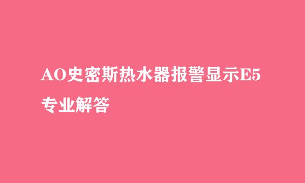 AO史密斯热水器报警显示E5专业解答