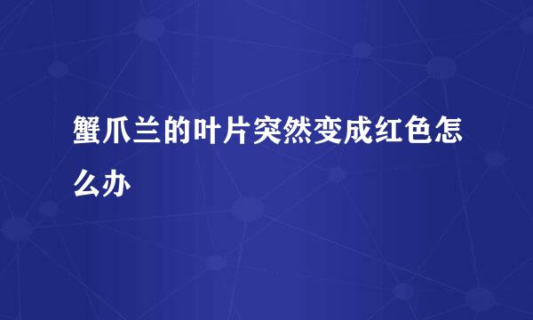 蟹爪兰的叶片突然变成红色怎么办
