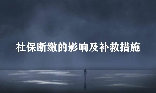 社保断缴的影响及补救措施